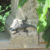 фото из отзыва ID 978954