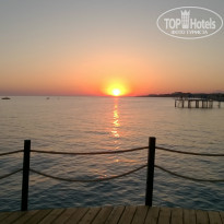 фото из отзыва ID 978954