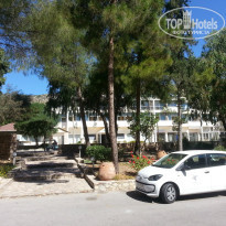 фото из отзыва ID 978988