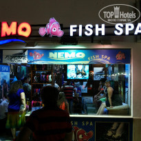 фото из отзыва ID 978026