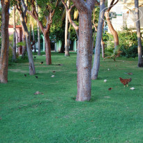 фото из отзыва ID 978639