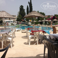 фото из отзыва ID 979151