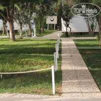 фото из отзыва ID 979171