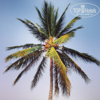 фото из отзыва ID 979266