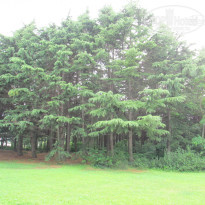 фото из отзыва ID 979368