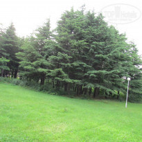 фото из отзыва ID 979368