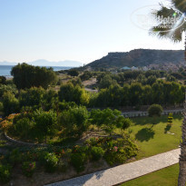 фото из отзыва ID 979428