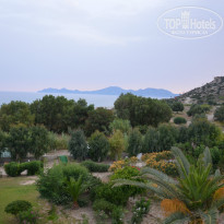 фото из отзыва ID 979428