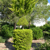 фото из отзыва ID 979428