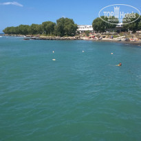 фото из отзыва ID 979428