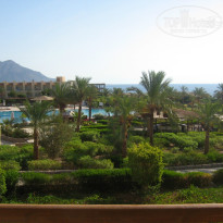 фото из отзыва ID 979496