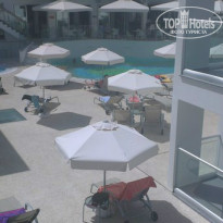 фото из отзыва ID 979568