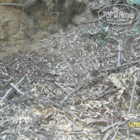 фото из отзыва ID 979555