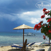 фото из отзыва ID 979632