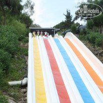 фото из отзыва ID 979684