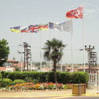 фото из отзыва ID 979738