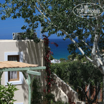 фото из отзыва ID 979909