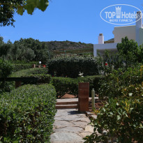 фото из отзыва ID 979909