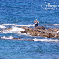 фото из отзыва ID 979635