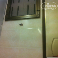 фото из отзыва ID 979101