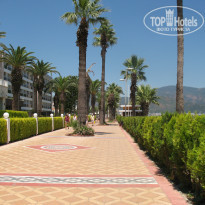 фото из отзыва ID 980137