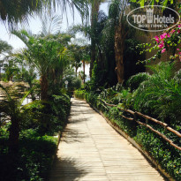 фото из отзыва ID 980239