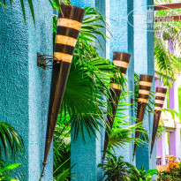 фото из отзыва ID 980523