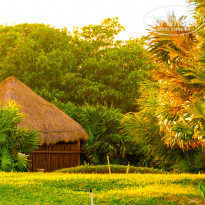 фото из отзыва ID 980523