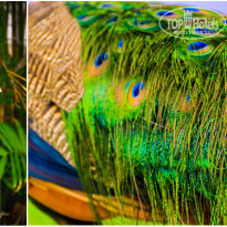 фото из отзыва ID 980523