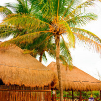 фото из отзыва ID 980523