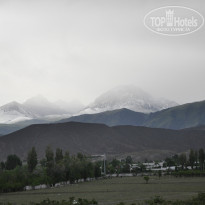 фото из отзыва ID 980549