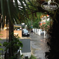 фото из отзыва ID 980634