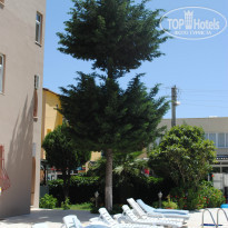 фото из отзыва ID 980648