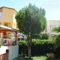 фото из отзыва ID 980648