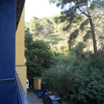 фото из отзыва ID 980814