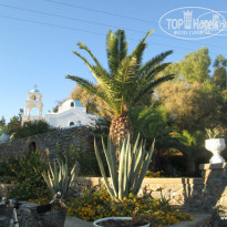 фото из отзыва ID 980965