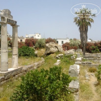 фото из отзыва ID 980566