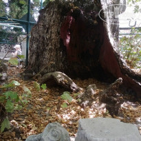 фото из отзыва ID 980566