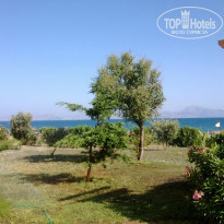 фото из отзыва ID 980566