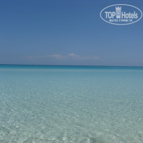 фото из отзыва ID 980247