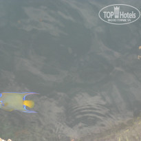 фото из отзыва ID 980247