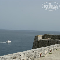 фото из отзыва ID 980247