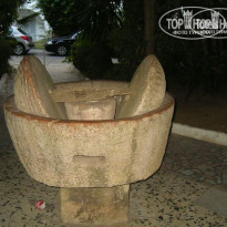 фото из отзыва ID 98173