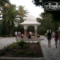 фото из отзыва ID 98173