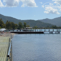 фото из отзыва ID 981133