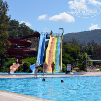 фото из отзыва ID 981133