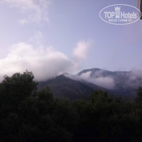 фото из отзыва ID 981158