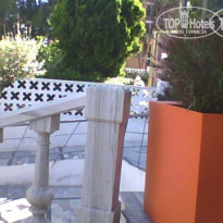 фото из отзыва ID 981182