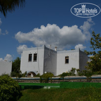 фото из отзыва ID 981216