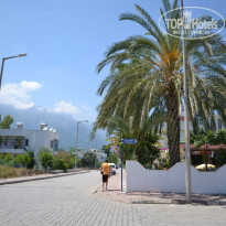 фото из отзыва ID 981229